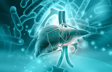 Human liver anatomy on virus bacterial background. 3d illustration