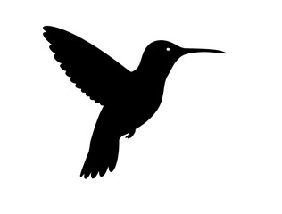 Hummingbird silhouette on white background side views 