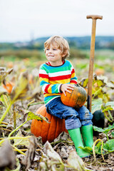 Adorable little kid boy picking pumpkins on Halloween pumpkin patch.