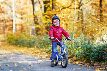 Little Kid Boy in Colorful Warm Clothes in Autumn Forest Park Driving Bicycle. Active Child Cycling on Sunny Fall Day in Nature. Safety, Sports, Leisure with Kids Concept. Casual Fashion for Children