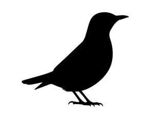  Vector image of Alpine thrush in silhollouette vector image.