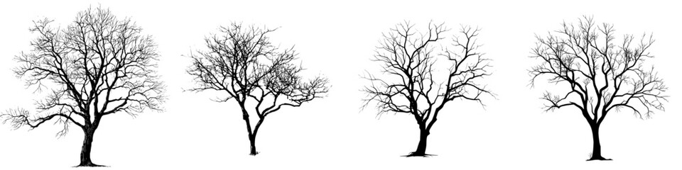 Obraz premium Modern illustration featuring a bare tree silhouette devoid of leaves, presented in a non-threatening manner, hand drawn, and set against a white background