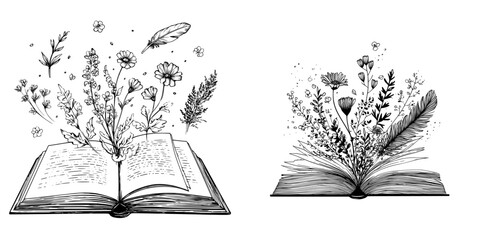 Open book with wildflowers and Floral book and feather isolated clip art, Book lovers hand drawn print