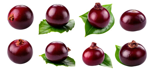 Fresh and Juicy Purple Fruits with Green Leaves Isolated on White, Isolated on Transparent, white background