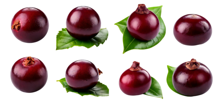 Fresh and Juicy Purple Fruits with Green Leaves Isolated on White, Isolated on Transparent, white background