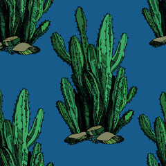Seamless pattern with cacti, blooming succulent on color background. Vector hand drawn illustration for packaging, fabric, textile. Wild west cactus, western concept.