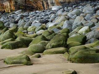 Beach with green mossy rocks and smooth grey stones