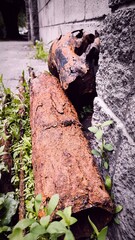Rusty metal pipes by concrete wall