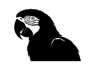 Vector image of Macaw in silhouette on white background side views side view.