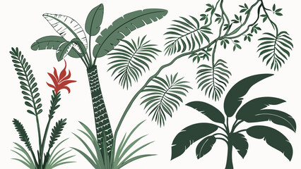 Tropical Plants and Leaves Illustration Set Green Jungle Forest Botanical Graphic Design Elements Exotic Nature Background