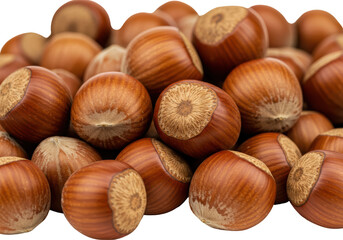 Isolated Pile of Fresh Hazelnuts with Shells