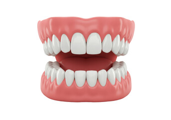 Isolated Dentures Prosthetic Teeth Set Medical