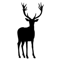 buck deer Icon black_2