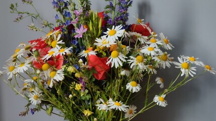 bouquet of colorful flowers in vase on table in room. © MARIA