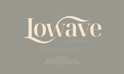 Inspired serif font with soft curves and modern elegance