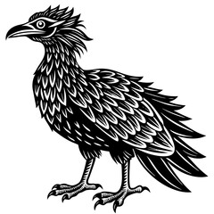 Obraz premium Roadrunner bird illustration isolated on white background