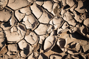 Cracked earth surface showcasing dry soil in a rural area during the warm afternoon sun