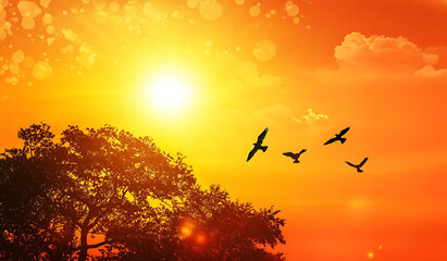 Flock of birds flying towards the bright setting sun over silhouetted trees