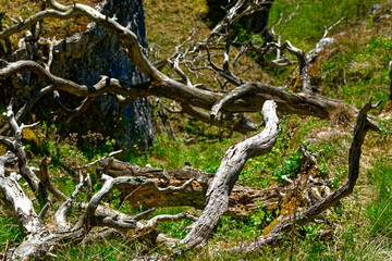 a beautiful day in the ancient town of Dollnstein