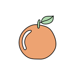 Hand drawn illustration of an orange