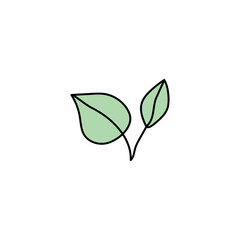 green leaf isolated on white background