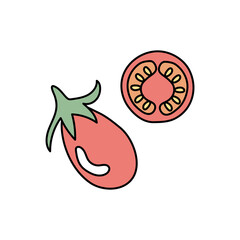 Hand drawn illustration of a red tomato