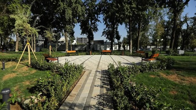 Walk along the paths on the shore of the city lake, surrounded by trees and bushes. Sunny summer day