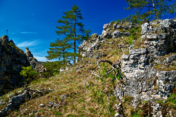 a beautiful day in the ancient town of Dollnstein