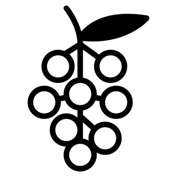 Exotic Fruit Buni Vector Illustration
