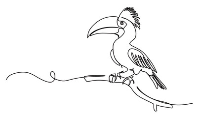 continuous single line art without a break of a bird with a large beak