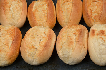 A close-up view presents eight freshly baked, oval bread rolls, perfectly golden-brown and lined up in two rows, highlighting their artisanal texture