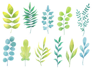 watercolor leaves with different stylized designs, variety of botanical forms, including round, elongated, and fern-like shapes.