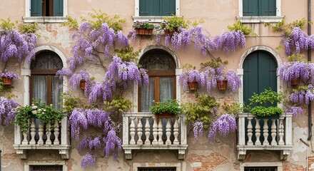 Wisteria Blooms Cascading over Venetian Building Facade A Stunning Architectural Detail
