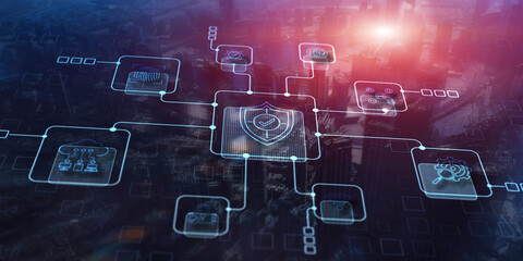 Data Cyber Security system Shield Protection Verification Icon