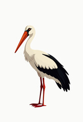 Fototapeta premium An elegant and stylized vector illustration of a white stork standing gracefully, a modern and clean graphic perfect for logos, branding, or nature-themed designs. 
