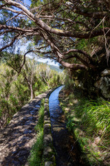 Hiking path along the historic levadas on the Levada das 25 Fontes hike on Madeira, Portugal.