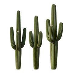 Group of cacti isolated on transparent background