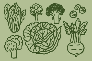 cabbage vegetable set bold sketch vector illustration