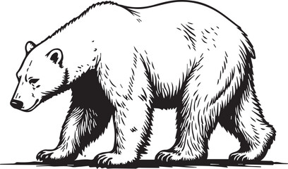 Polar Bear Illustration: A majestic polar bear, rendered in a striking black and white illustration, confidently strides across a stark landscape, embodying the spirit of the Arctic wilderness. © DesignINKZ
