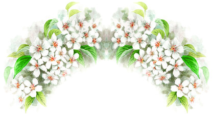 水彩で描いたりんごの花