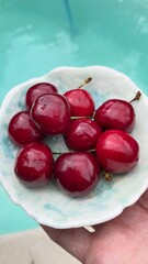 fresh red radish