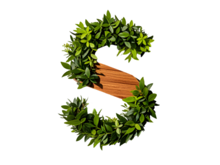 Green Leaves Forming Letter S with Wooden Element High Quality 4k Photo Image Stock Download isolated on a transparent background