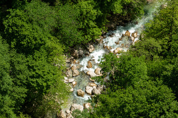 Mountain river flowing over rocks through a dense forest