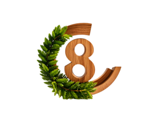 Wooden Number Eight Symbol with Green Fern Leaves Circular Frame on White Background isolated on a transparent background 1