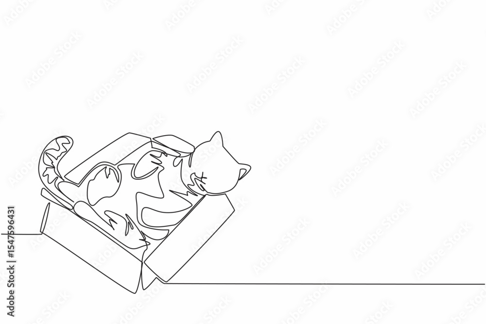 Poster single continuous line drawing tabby cat is sleeping in a cardboard box. adorable behavior even when