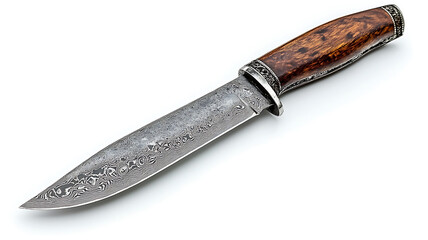 Exquisite damascus steel hunting knife with ornate silver guard and burl wood handle on white background © BgStudio98