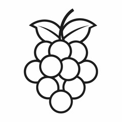 vector illustration of a grape