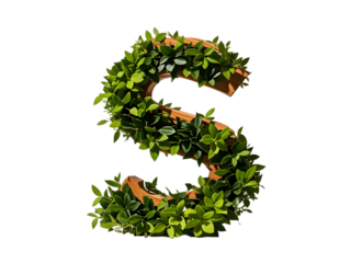 Wooden Number S Shaped Decorated with Lush Green Leaves Isolated on a transparent background letter