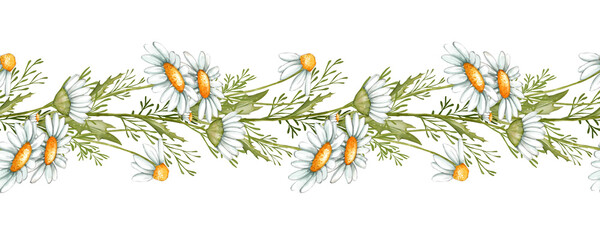 Chamomile seamless border. Hand drawn illustration - frame with daisy flowers
