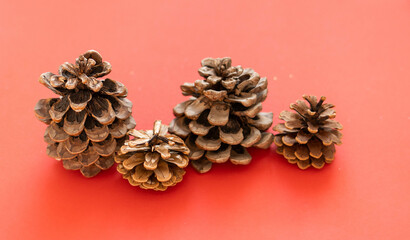 Cones in sequins on a red background with copy space. The concept of the New Year and Christmas time. Christmas banner, mock up